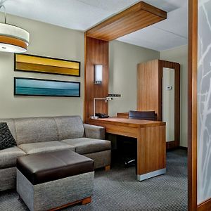 Specialty King Room Sofa Bed